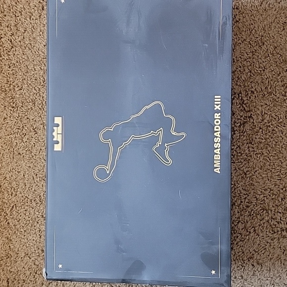 Nike LeBron Ambassador 13 Yeezy colorway size 8.5 - Picture 11 of 13